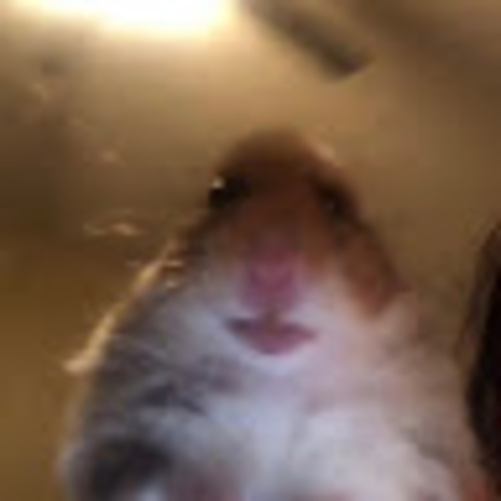 Meet your Posher, Joshlee